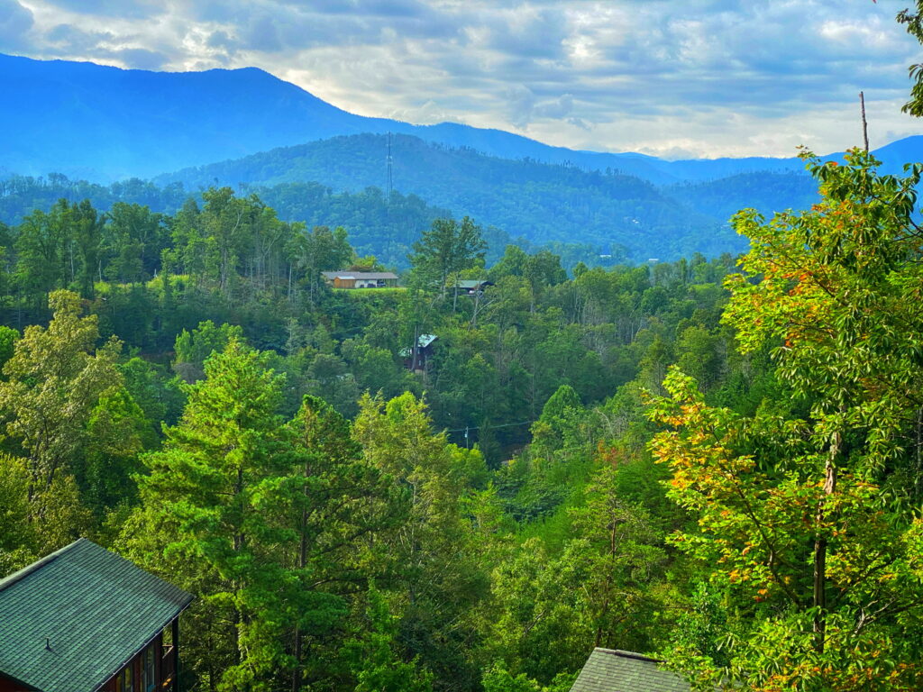 View from our cabin in the Smoky Mountains.