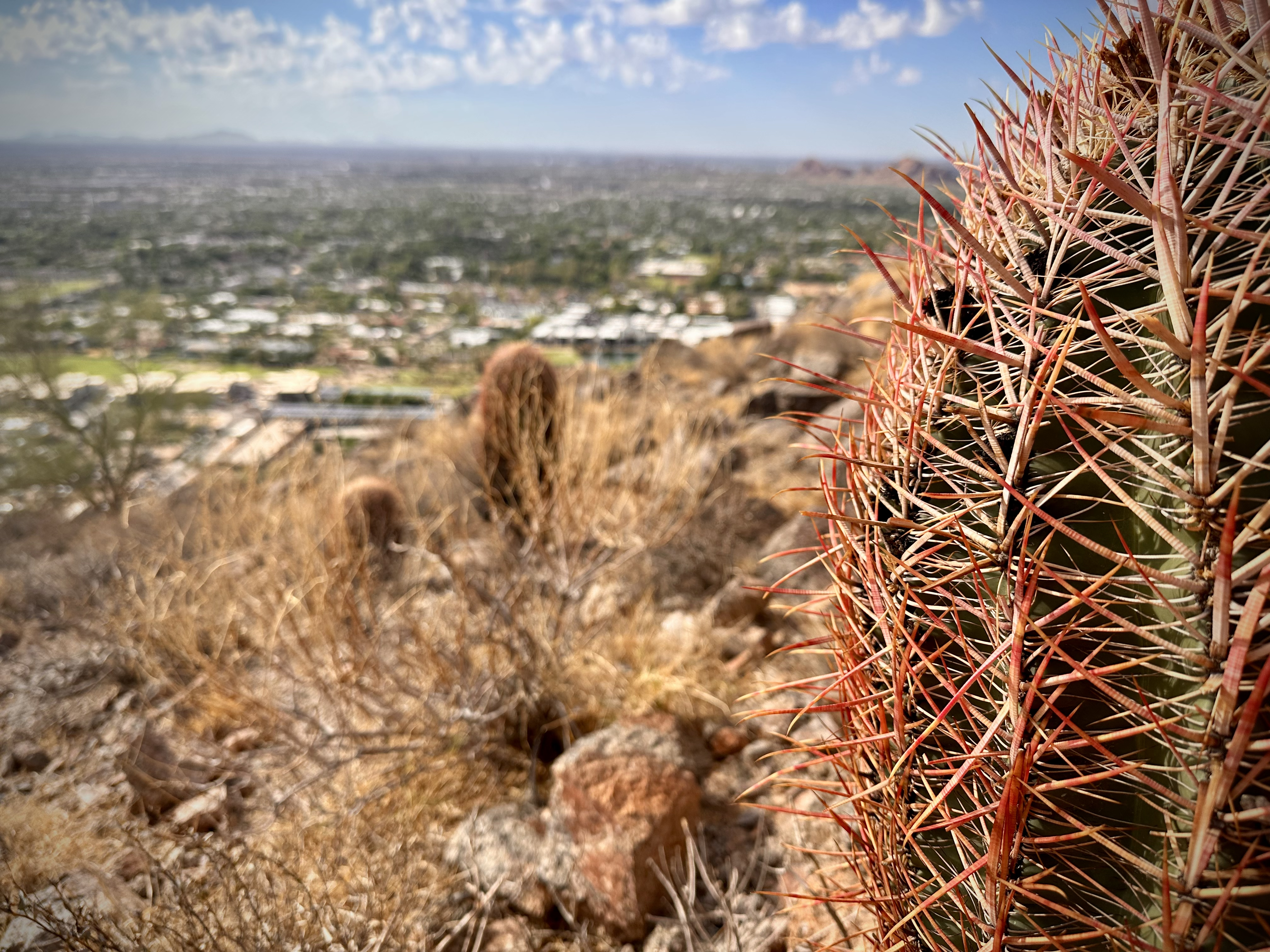 Hike up Camelback Mountain in Phoenix, Arizona.