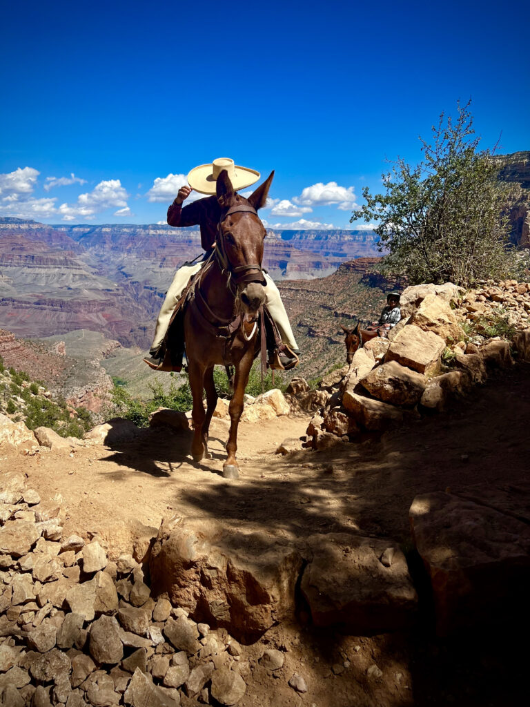 Watch for others on the Grand Canyon National Park Angel Bright Trail. 