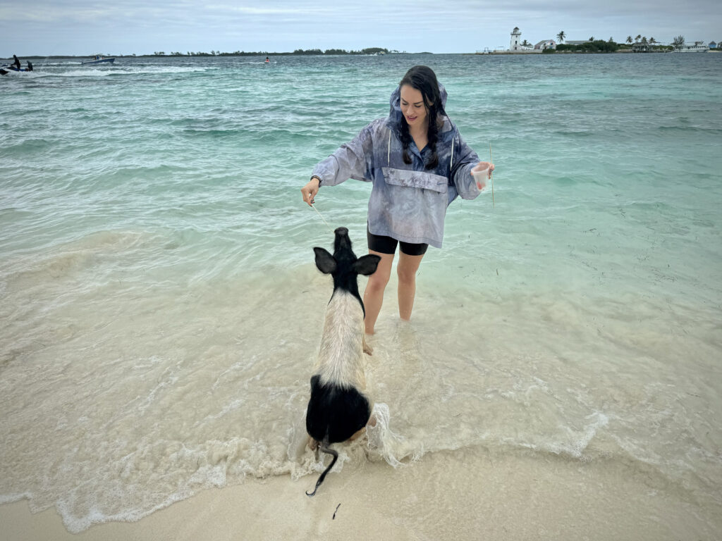 Pig Island